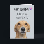 Happy Birthday From The Dog Funny Humour Card<br><div class="desc">This design was created though digital art. It may be personalised in the area provide or customising by choosing the click to customise further option and changing the name, initials or words. You may also change the text colour and style or delete the text for an image only design. Contact...</div>