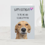 Happy Birthday From The Dog Funny Humour Card<br><div class="desc">This design was created though digital art. It may be personalised in the area provide or customising by choosing the click to customise further option and changing the name, initials or words. You may also change the text colour and style or delete the text for an image only design. Contact...</div>