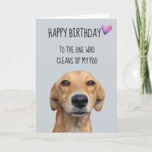 Happy Birthday From The Dog Funny Humour Card