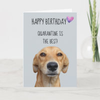 Happy Birthday From The Dog Quarantine Covid-19