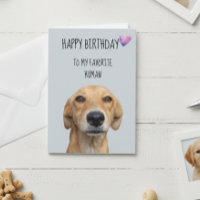Happy Birthday From The Dog To Favourite Human
