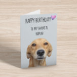 Happy Birthday From The Dog To Favourite Human Card<br><div class="desc">This design was created though digital art. It may be personalised in the area provide or customising by choosing the click to customise further option and changing the name, initials or words. You may also change the text colour and style or delete the text for an image only design. Contact...</div>