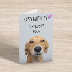 Happy Birthday From The Dog To Favourite Human Card