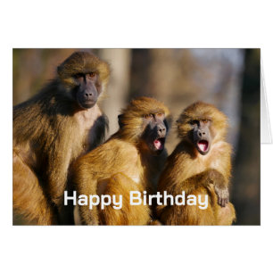 Happy Birthday from the Group Like Monkeys