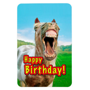 Happy Birthday from the happy horse Magnet