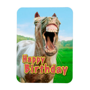 Happy Birthday from the happy horse Magnet