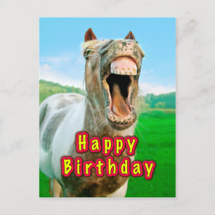 Happy Birthday from the happy horse Postcard