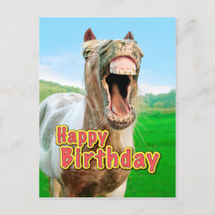 Happy Birthday from the happy horse Postcard