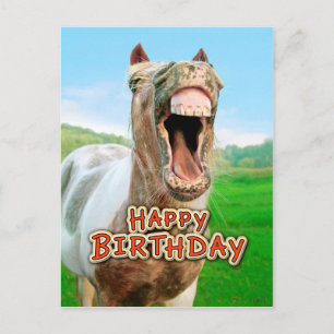 Happy Birthday from the happy horse Postcard