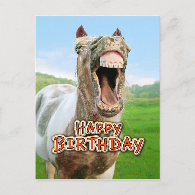 Happy Birthday from the happy horse Postcard (Front)