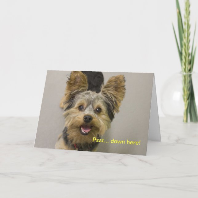 Happy Birthday from the little one. Card (Front)