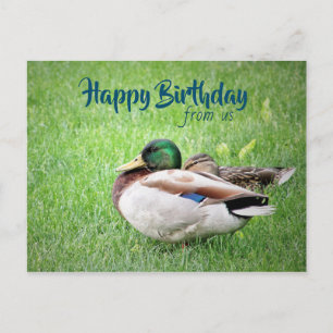 Happy Birthday from Us Postcard