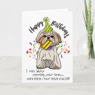 Happy Birthday from Your Shih Tsu Buddy Card