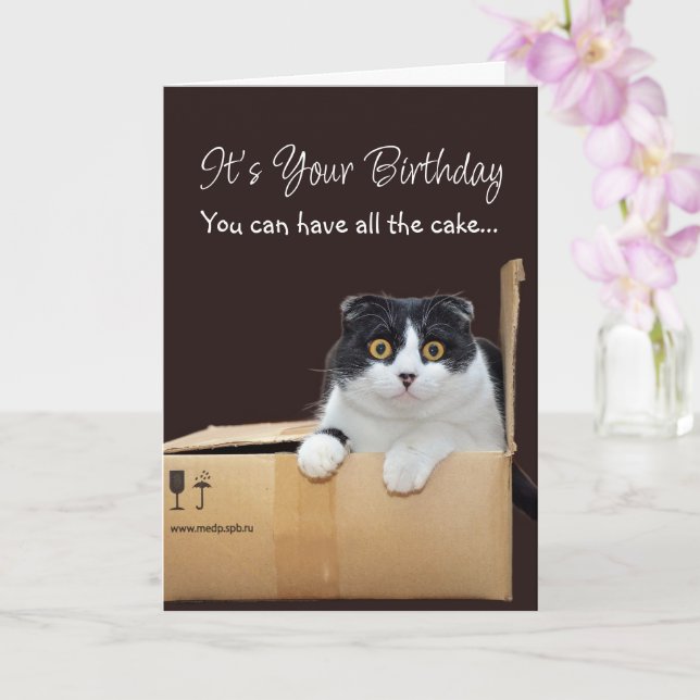 Happy Birthday Funny Cat  Card (Orchid)