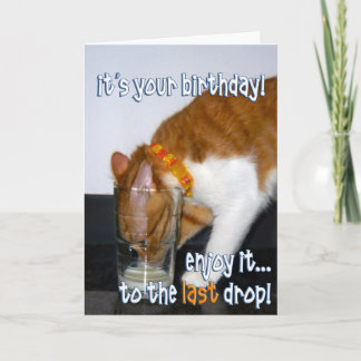 Happy Birthday - Funny Cat Drinking from Glass Card