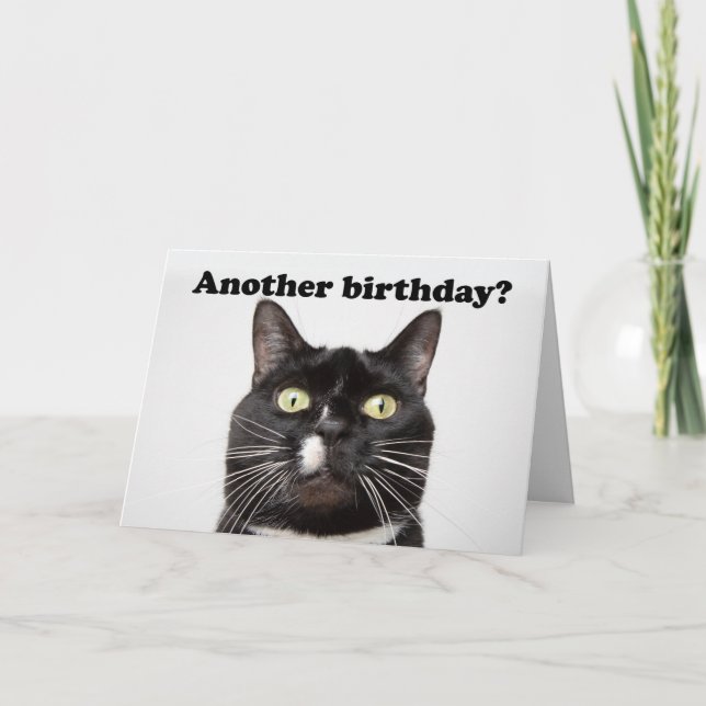 Happy Birthday Funny Cat in Your Face Humour Holiday Card (Front)