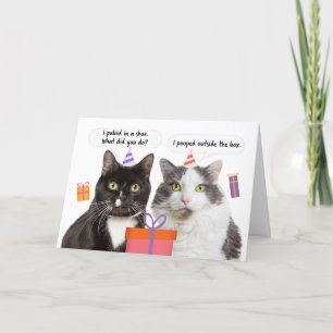 Happy Birthday Funny Cats Talking Humour Holiday Card