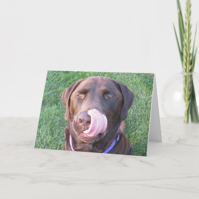 Happy Birthday FUNNY Chocolate Lab Card (Front)
