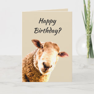 Happy Birthday Funny Sheep Animal Humour Card