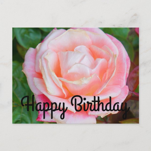 Happy Birthday Gemini Rose #1 Postcard (Front)