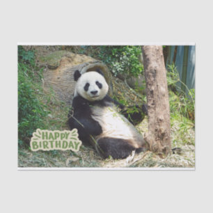 Happy Birthday Giant Panda Bear Tissue Paper