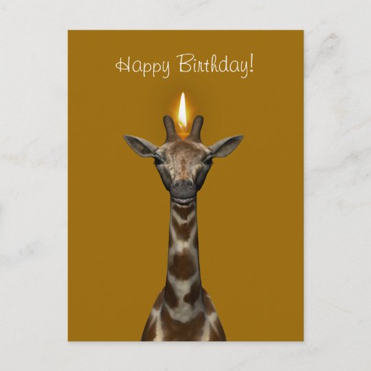 Happy Birthday Giraffe Postcard Zazzle Com Au