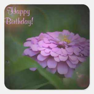 Happy Birthday Glowing Zinnia Square Sticker