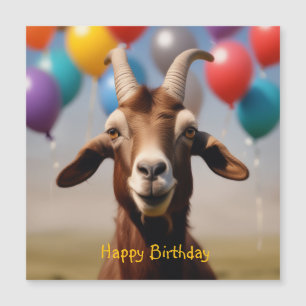 Happy Birthday Goat Magnetic Card