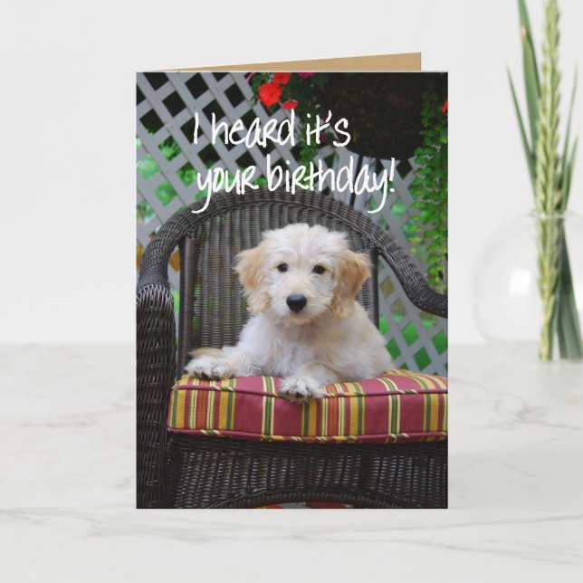 Happy Birthday Golden Doodle Puppy Card (Front)