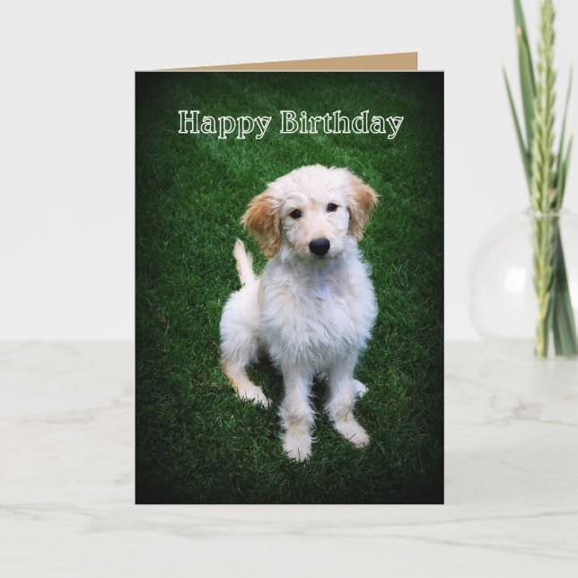Happy Birthday Golden Doodle Puppy Card (Front)