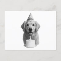 Happy Birthday Golden Retriever