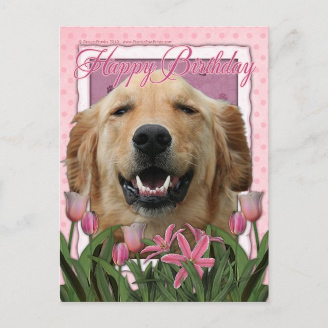 Happy Birthday - Golden Retriever - Mickey Postcard (Front)