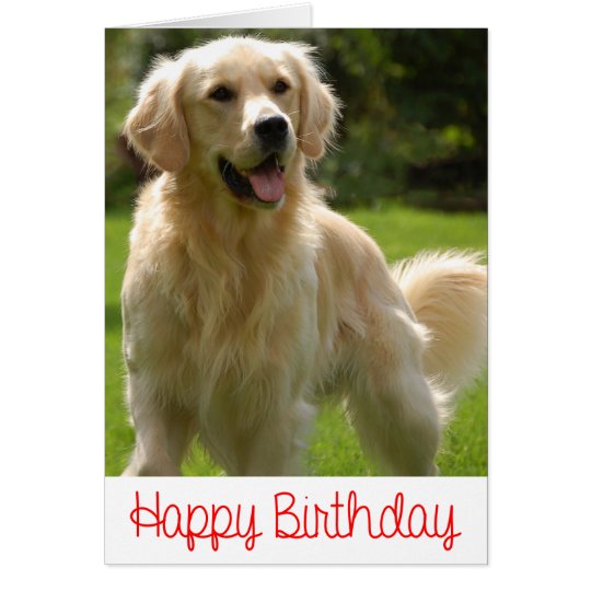 Happy Birthday Golden Retriever Puppy Card Zazzle au