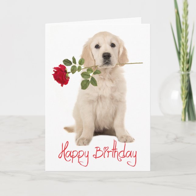 Happy Birthday Golden Retriever Puppy Dog Card (Front)