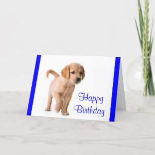 Happy Birthday Golden Retriever Puppy Dog Card