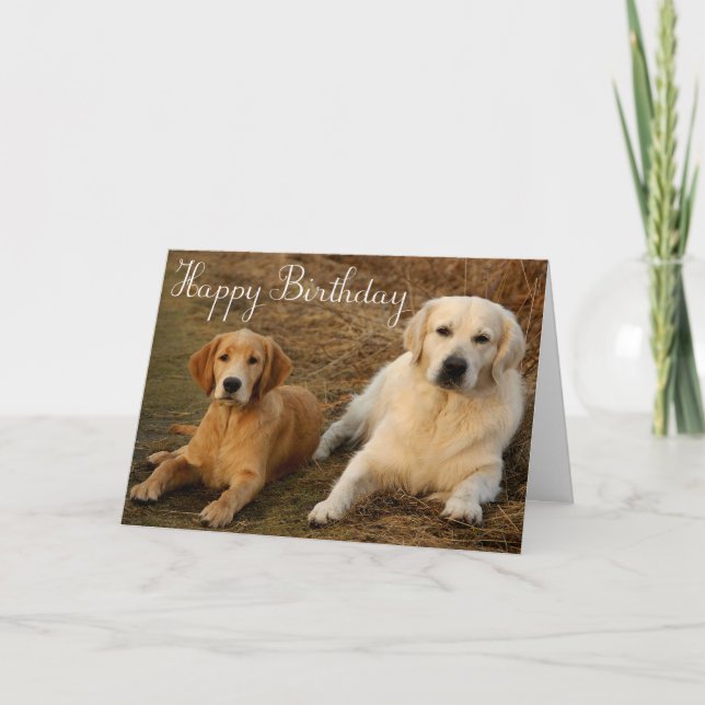 Happy Birthday Golden Retriever Puppy Dog Card (Front)