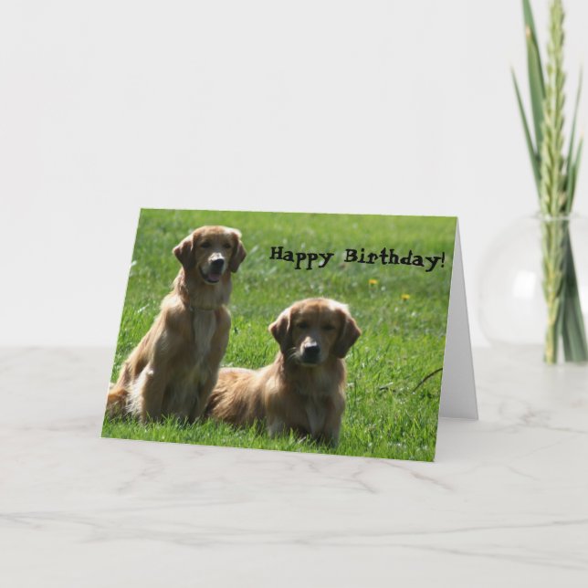 Happy Birthday Golden Retrievers greeting card (Front)