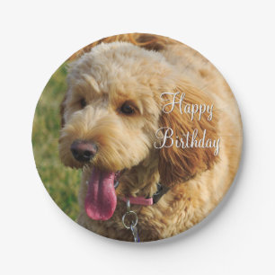 Happy Birthday Goldendoodle Dog Paper Plate