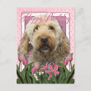 Happy Birthday - Goldendoodle Postcard