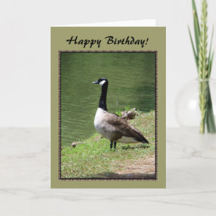Happy Birthday Goose Card