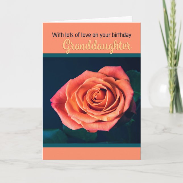 Happy Birthday Granddaughter Beautiful Peach Rose Holiday Card (Front)