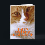 Happy Birthday Granddaughter - Sweet Cat Card<br><div class="desc">Wish your granddaughter a "Happy Birthday",  with this cute card from my "Kitty Koolness" Collection,  featuring an adorable orange and white kitty. The inside can be kept as is,  or personalized by you for that added touch. Photo by designer.</div>