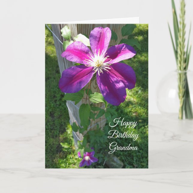 Happy Birthday Grandma Purple Flower Clematis Card (Front)