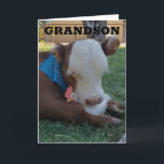 HAPPY BIRTHDAY ***GRANDSON*** CARD<br><div class="desc">THANK YOU FOR STOPPING BY 1 OF MY 8 STORES!</div>