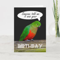 Happy Birthday green and red King Parrot