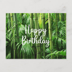 Happy Birthday Green Bamboo Forest Postcard