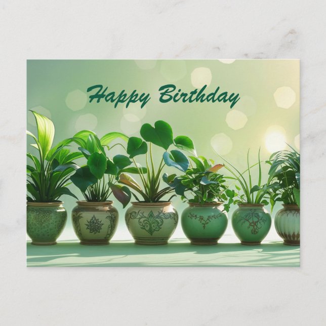 Happy Birthday Green Houseplants in the Pots  Postcard (Front)