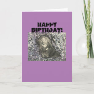 Happy Birthday Greeting Card