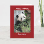 Happy Birthday Greeting Card Giant Panda Grandson<br><div class="desc">This colourful card is part of our "panda" collection, which also includes gift items with images of giant pandas - kindle covers, iPad cases, phone cases, small jewellery boxes, wrapping paper, and other gifts. This sample says "Grandson", but you can customise the card and the matching products, to make them...</div>