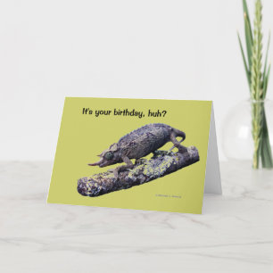 Happy birthday greeting card (in green)